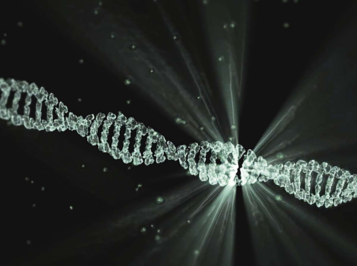 dna ustalenie ojcostwa